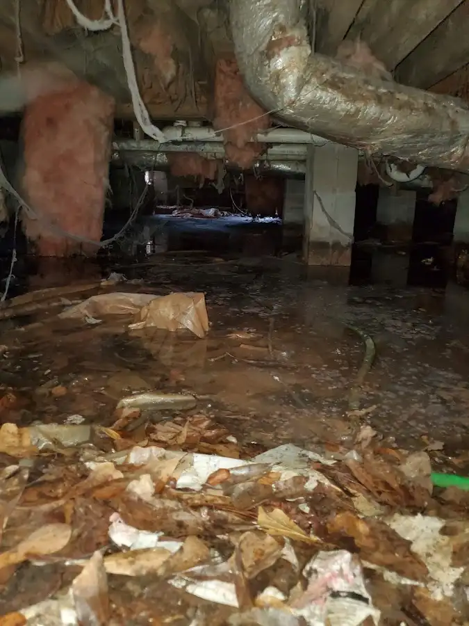 Crawl space flood assessment for Leak Detection & Repair in Bagley